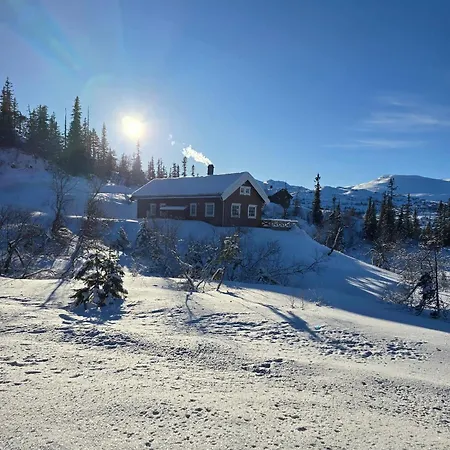 Cozy Retreat In Fl, Norway - Perfect For Families And Nature Lovers 別荘 *