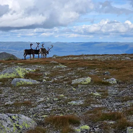 Cozy Retreat In Fl, Norway - Perfect For Families And Nature Lovers 別荘