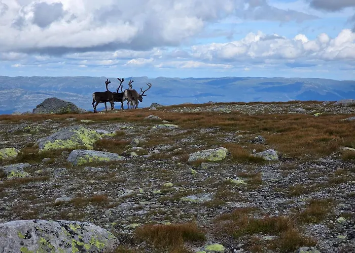 Cozy Retreat In Fl, Norway - Perfect For Families And Nature Lovers Prázdninový dům